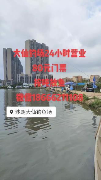 80元门票24小时营业随时可以开竿,微信18666211108#钓鱼人 #duo上热门 #上热门 #户外钓鱼 #快乐垂钓 #钓鱼的乐趣只有钓鱼人懂 #抖音钓鱼人 #钓鱼人就是这么疯狂 #钓鱼爱好者