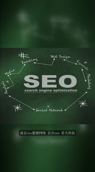 南京seo猎搜网络 百合seo #seo #百合seo #南京seo猎搜网络 #若天科技