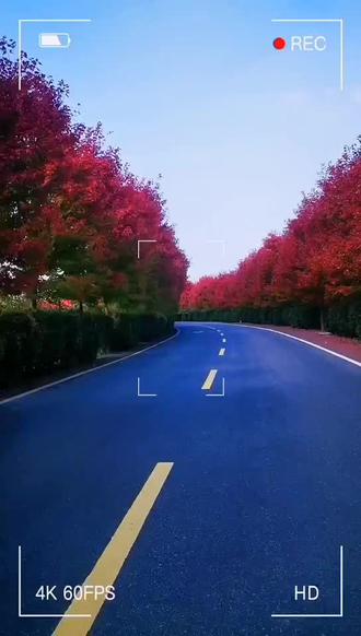 最美 回家路#风景这边独好 #最美的风景在路上 - 抖音