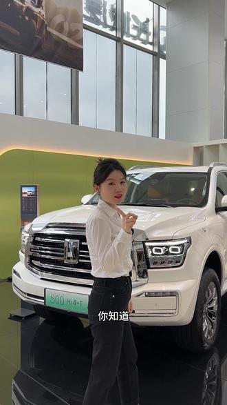 你知道坦克怎么设置唤醒词吗#越山海探极致 #坦克500 @坦克SUV