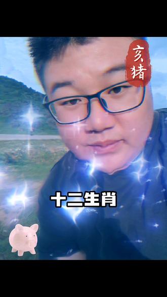 我属猪,十二生肖我压轴,生的命好少吃,朱颜难老常青树,难得糊涂福寿禄,一生太平我属猪#头像#十二生肖#生肖猪#属猪 #抖音快乐推荐官 @100w人 @旺仔QQ唐