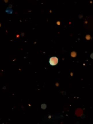 小熊软糖🐻王晟希