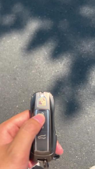 一只青蛙🐸,一只蛤蟆……#保时捷 #极氪001