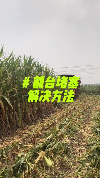 #玉米收割机 割台堵塞解决方法@中联收获-玉米机 #农业机械