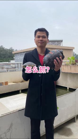 #doudream创作者计划 怎么抓回来?#宠物 #日常 #遛娃 @抖音小助手 @栢利火焰