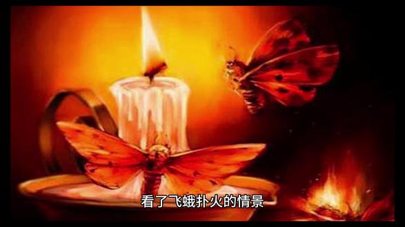 飞蛾扑火什么梗 40ae807395f141158822c3f28570e26b_1681987042~tplv-dy-resize-origshort-autoq-75:330.jpeg?x-expires=2006002800&x-signature=Gmb09EK%2FEV3%2BlQnjKFbL2iaYr9Y%3D&from=3213915784&s=PackSourceEnum_AWEME_DETAIL&se=false&sc=cover&biz_tag=pcweb_cover&l=2023072923102950867034CC6560C0670C