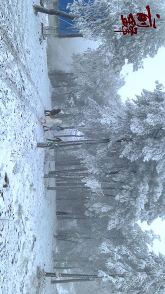 太美!一大波前锋山上的雪景来了~#家乡雪景 #雪景