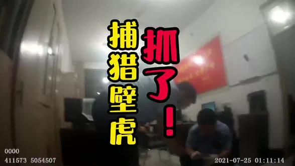 捕猎壁虎——抓了!#新乡#捕猎者 #壁虎@抖音小助手