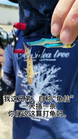 这算不算打龟#钓鱼 #路亚 #路亚钓鱼 #路亚野钓 #钓鱼人 #路亚翘 - 抖
