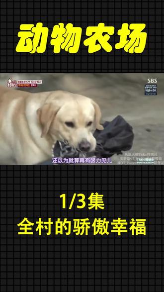 有哪些好看的韩国综艺节目 5311945bd7ac4aec83c13e92b918b929~tplv-dy-resize-origshort-autoq-75:330.jpeg?x-expires=1994169600&x-signature=wUXPhUMrJWSMMRvmBOafhVcxa40%3D&from=3213915784&s=PackSourceEnum_AWEME_DETAIL&se=false&sc=cover&biz_tag=pcweb_cover&l=20230315005602EFE74D0DD310781EBC2E