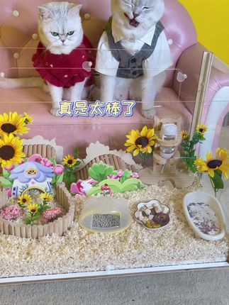 90cvnnnf6c 55m 90cvnnnf6c 55m