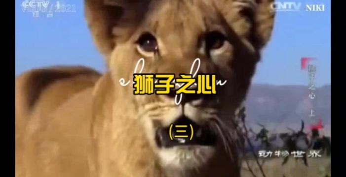 收藏慢慢看系列——非常好看精彩的一部片子(三)
片中采用拟人语气讲述苏琪与莱诺斯这两只小狮子跟着成年狮群生活,有了母亲麦琪贝在身边守候与指导,它们将在草原世界中找到立足之地。然而,天有不测风云,当河对岸的狮子残酷地对它们展开攻击时,原本祥和宁静的日子将被破坏殆尽,家族亲情、爱情与忠诚将受到考验……@DOU+小助手 @抖音小助手
#遵守法律请勿非法饲养或买卖活动 #狮子