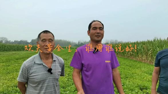 神奇的欢夫黄金宝,花生增产的法宝!实话实说,现场直播。不骗不找托!