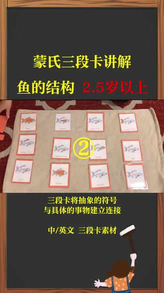 蒙氏素材三段卡鱼的结构