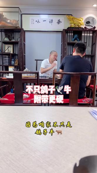 鸽子王家族 #白海航鸽子王 #餐饮创业