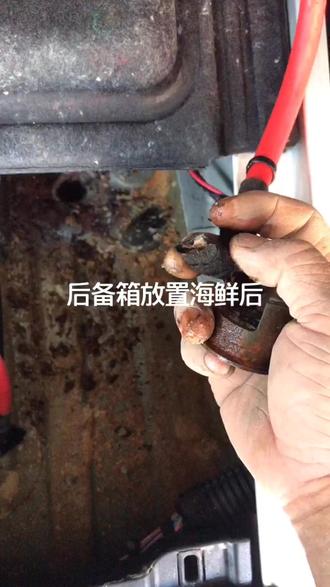 什么导致后备箱腐蚀这么快