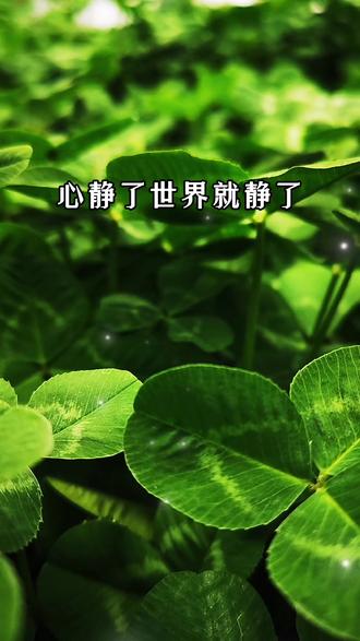 早安 #金峰之约 #致自己 - 抖音