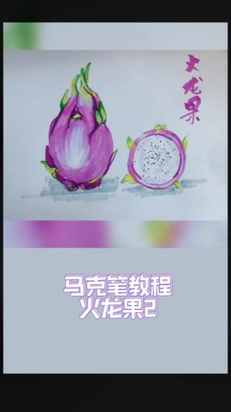 马克笔教程火龙果,适合二年级和成人初学者#手绘 #一起学画画 #热点 #想画就画 #自学绘画 #马克笔 #零基础学画画