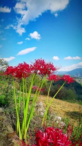 Wqy7r6v3jv14im Wqy7r6v3jv14im