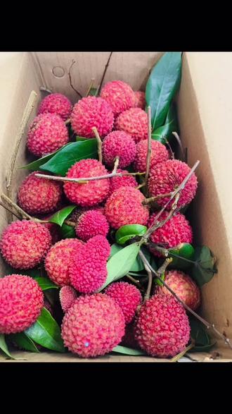 120一斤的合江带绿荔枝好吃肉嫩无茎籽超级小