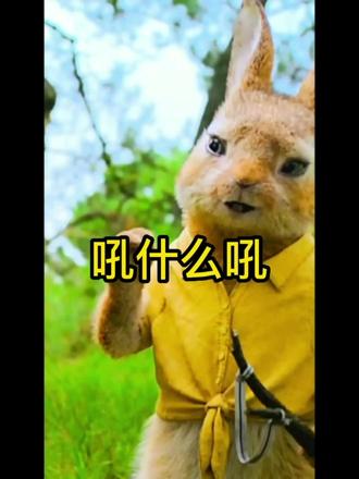 我错了嘛?你吼什么吼#搞笑视频 #搞笑 #精彩片段 #搞笑段子 #看一遍笑一遍 #专治不开心 #爆笑视频 #一定要看到最后 #搞笑配音 #搞笑😂 #情感 #感悟 #兔牙牙动漫 @兔牙牙动漫