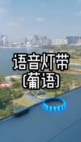离线语音识别之【葡萄牙语】
方案定制开发,语音+APP双控。