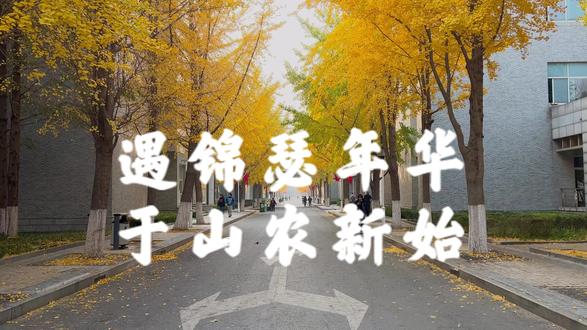 遇锦瑟年华,于山农新始
#校园生活 #记录校园生活 #山东农业大学