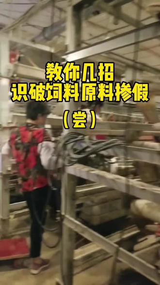 教你几招识别饲料原料掺假#科学喂养 #科学养鸡