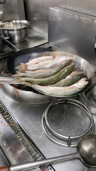 标准小梭鱼🐟酱制作全过程