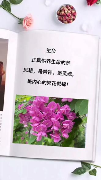 感悟