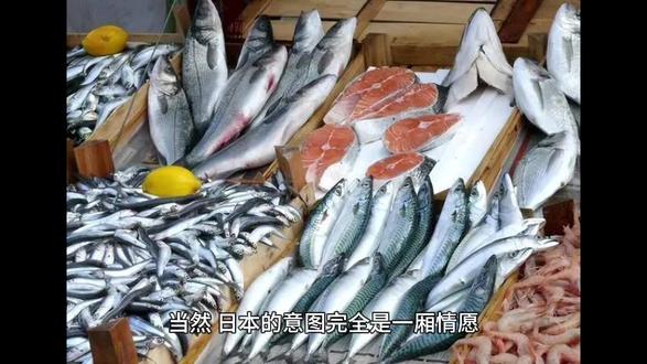“中国必须解除100%查验”,日本水产品被扣,岸田倒打一耙#国际新闻 #新闻启示录 #听新闻知天下事 #每日新闻 #每日新闻简报