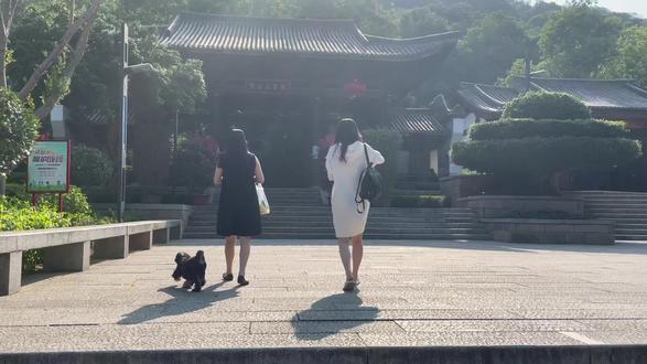 #周末时光 #享受这悠闲时光 周末可爬爬学生街附近的高盖山公园 ✌️ 不太累适合躺平一族~