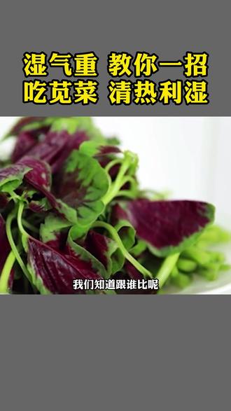 湿气重,教你一招,吃苋菜,清热利湿#苋菜 #湿气 #蔬菜