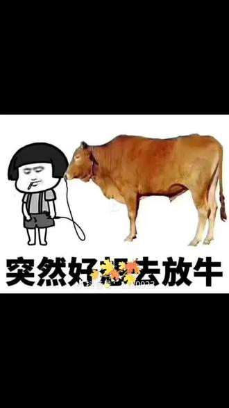 突然好想去放牛,因为没有压力,没有江湖套路.
