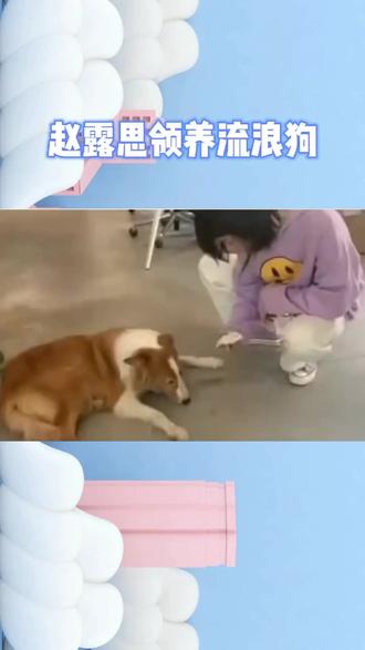 #赵露思领养流浪狗,为了收养流浪狗特意换了房子,太善良了!#娱乐播报台