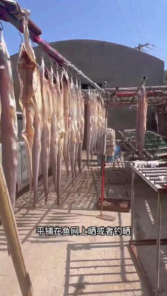 你知道这个字"鲞"怎么读吗?动动机智的小脑瓜子哦#抖音美食推荐官 #喜欢吃海鲜的朋友记得关注我哦 #味道好极了你们想吃吗 #每日美食分享 #食材新鲜才是硬道理