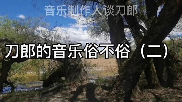 夏布 加州旅馆 绝美吉他弹奏#就是这么酷#音乐人夏布直播间#@疆选好