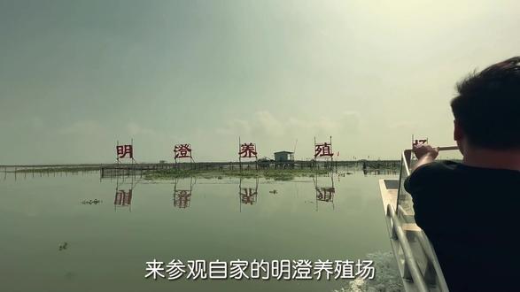 为了吃上放心的大闸蟹,这次我直接去了阳澄湖抓一只#阳澄湖大闸蟹 #秋天的第一顿螃蟹 #大闸蟹 #螃蟹养殖 #国庆嗨吃指南