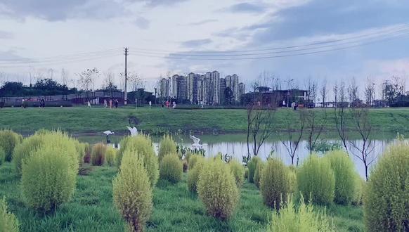广安网红打卡地 #治愈系风景 蓝城.桃李湖滨生活美学馆 - 抖音