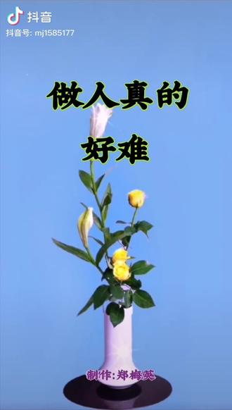 做人太难了