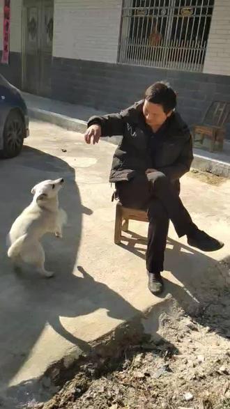 我鄂毅,湖北罗田人,扯果经子,今天来这里谈生意,果狗子也欢迎我,天行健君子以自强不息,地之坤以厚德载物👍👍👍👍👍