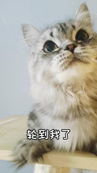 oh no oh no oh nonononono～可可爱爱的小钉子 - 抖音