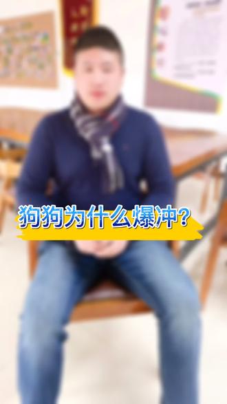 狗狗为什么爆冲?校长为您揭秘!#宠物狗 #爆冲 #宠物知识 #宠物训练 @抖音小助手