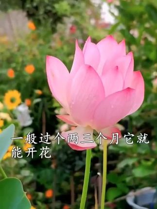 春风的主页 抖音 春风的主页 抖音