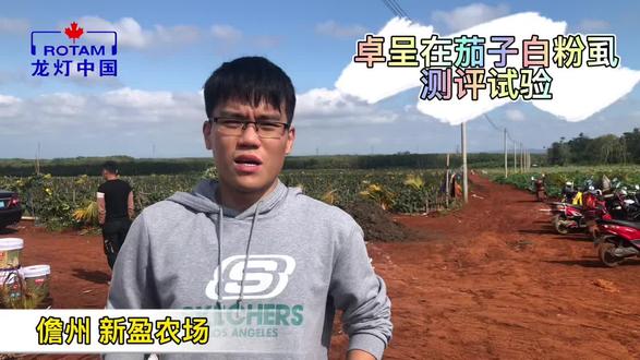 龙灯卓呈开箱测评#农业 #种植 #病虫害防治