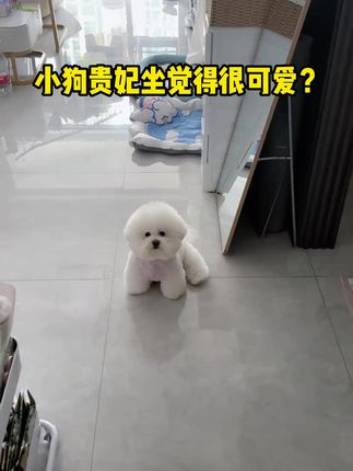 它忍痛的样子,你看懂了吗? #养狗经验分享#家庭伴侣犬#鲨鱼软骨素#萌主请就位#我和我的狗