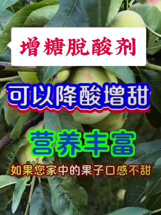 增糖脱酸剂,它可以降酸增甜,提高果实的品质,改善果实的口感,防止裂果畸形果#上热门 #增糖脱酸剂 #优质农产品 #抖音助农 #增产增收才是硬道理 @DOU+上热门 @DOU+小助手 @DOU+推荐官