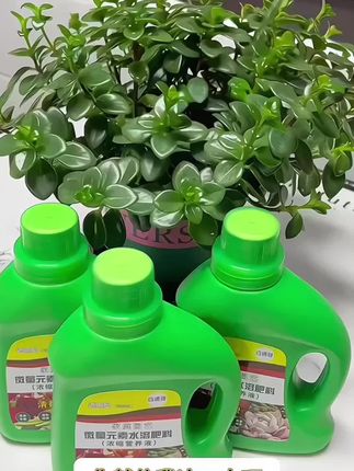 浓缩营养液,不管啥花啥绿子,浇上一点它就管用。通用型浓缩营养液#
