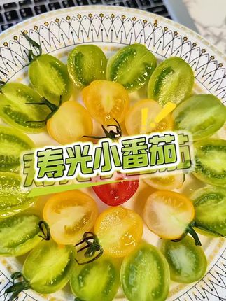 要说小番茄还得是我们山东寿光的,顺丰发货包装也是用心的,保证收到都是精挑细选的果子#寿光三色小番茄 #青口蜜 #小番茄 #圣女果