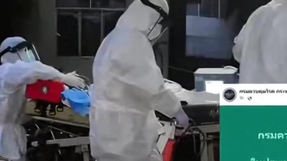 尼帕病毒来袭,泰国危险吗?该立即取消赴泰行程吗?